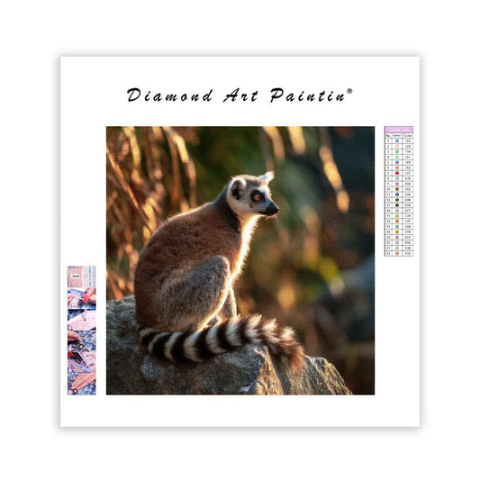 Ring-tailed Lemur Sunbathing - Diamond Painting