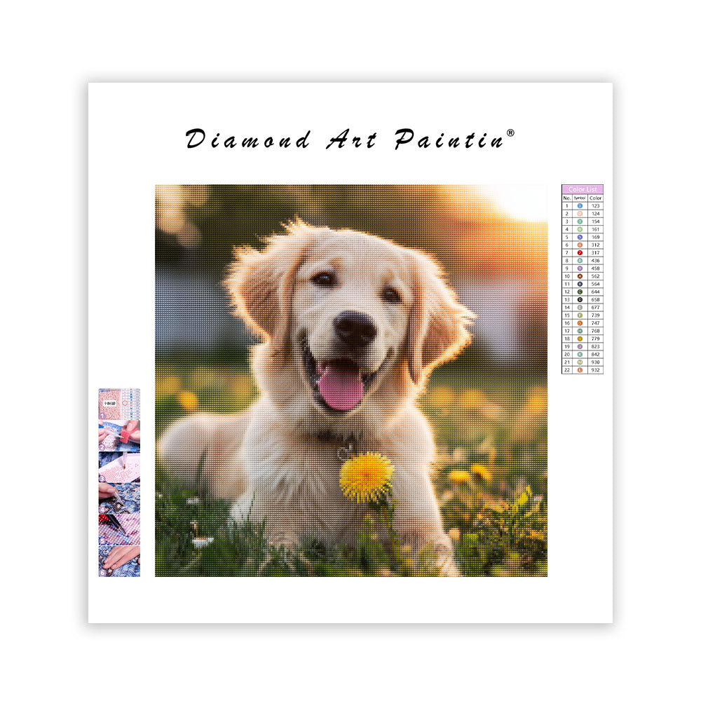 Golden Retriever with Dandelion - Diamond Painting