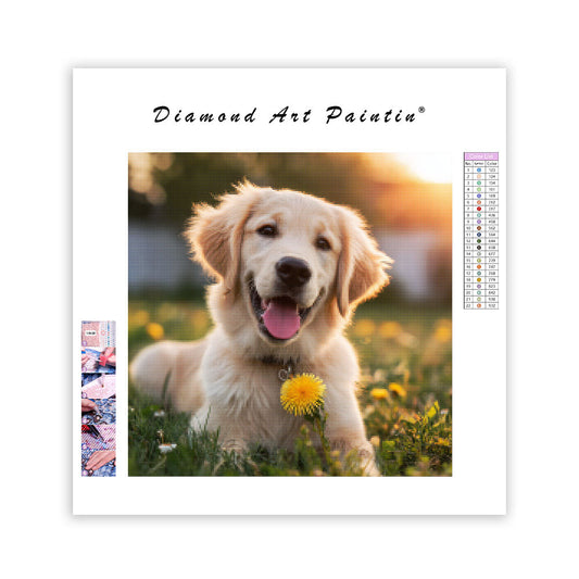 Golden Retriever with Dandelion - Diamond Painting