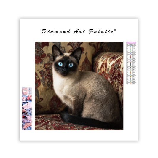 Siamese Cat Elegance - Diamond Painting