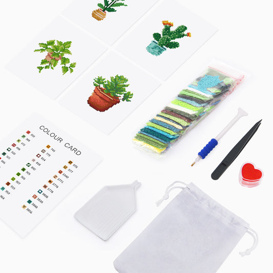 Mini-Cactus and Plant Set