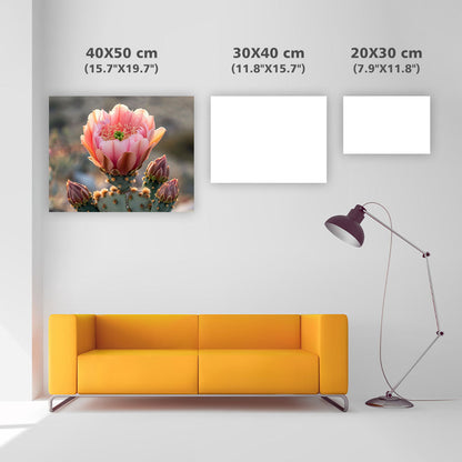 Cactus Bloom - Diamond Painting