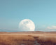 Moon Over Field - Diamond Painting