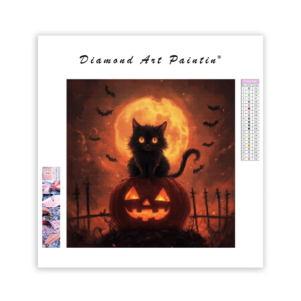 Halloween Cat on Pumpkin - Diamond Painting