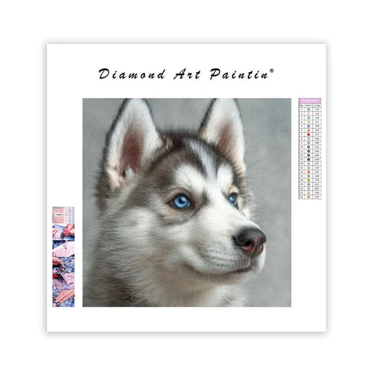 Inquisitive Fluffy Pup - Diamond Painting