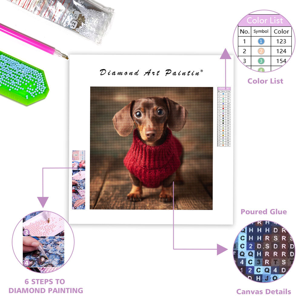 Dachshund in Red Sweater - Diamond Painting