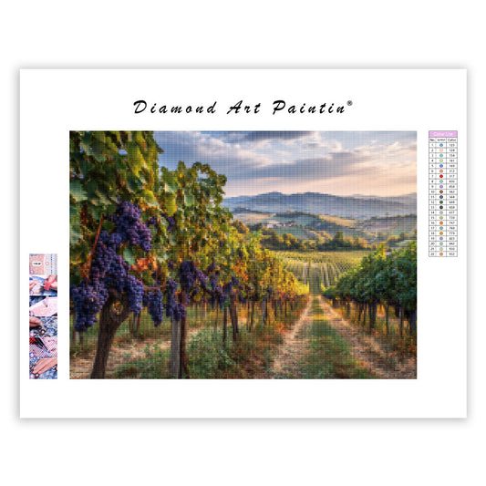 Vineyard at Harvest Time - Diamond Painting