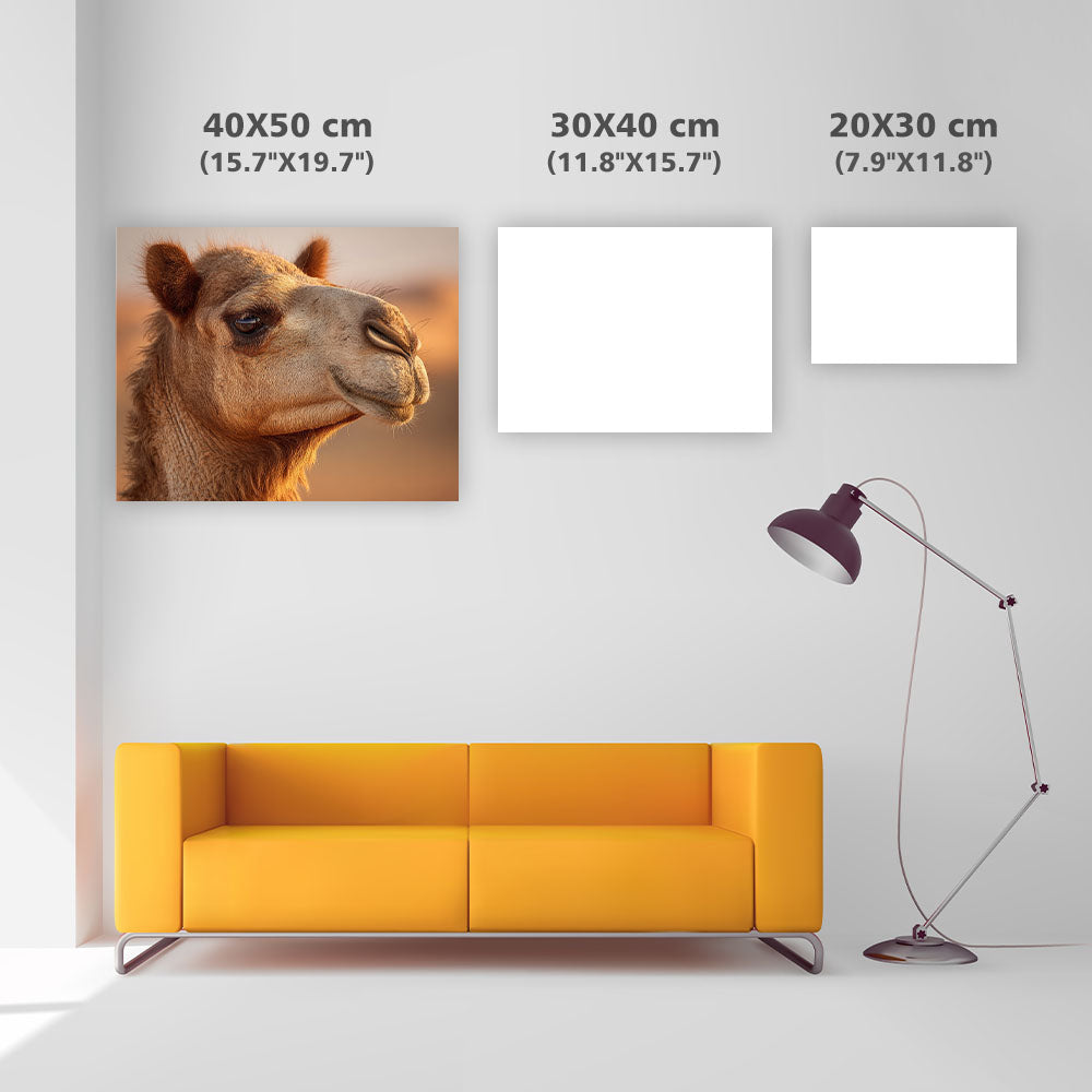 Camel in the Desert - Diamond Painting