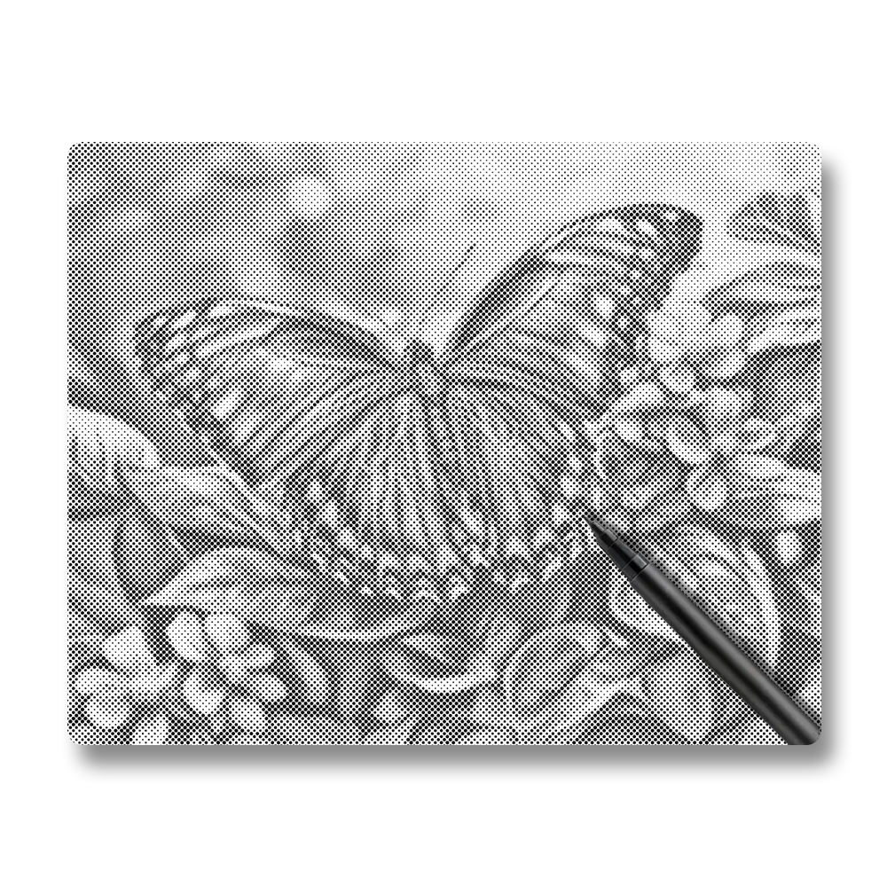 Blue Butterfly - Dot Painting