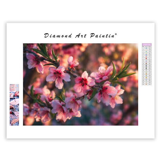 Peach Blossoms - Diamond Painting