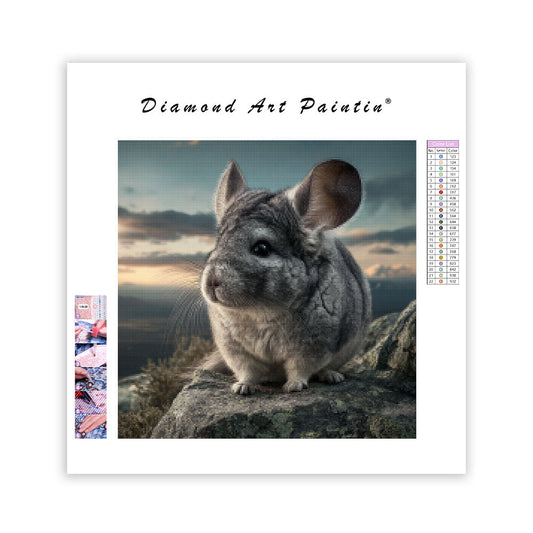Chinchilla on Rock - Diamond Painting