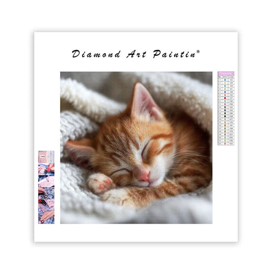 Orange Tabby Sweet Dream - Diamond Painting