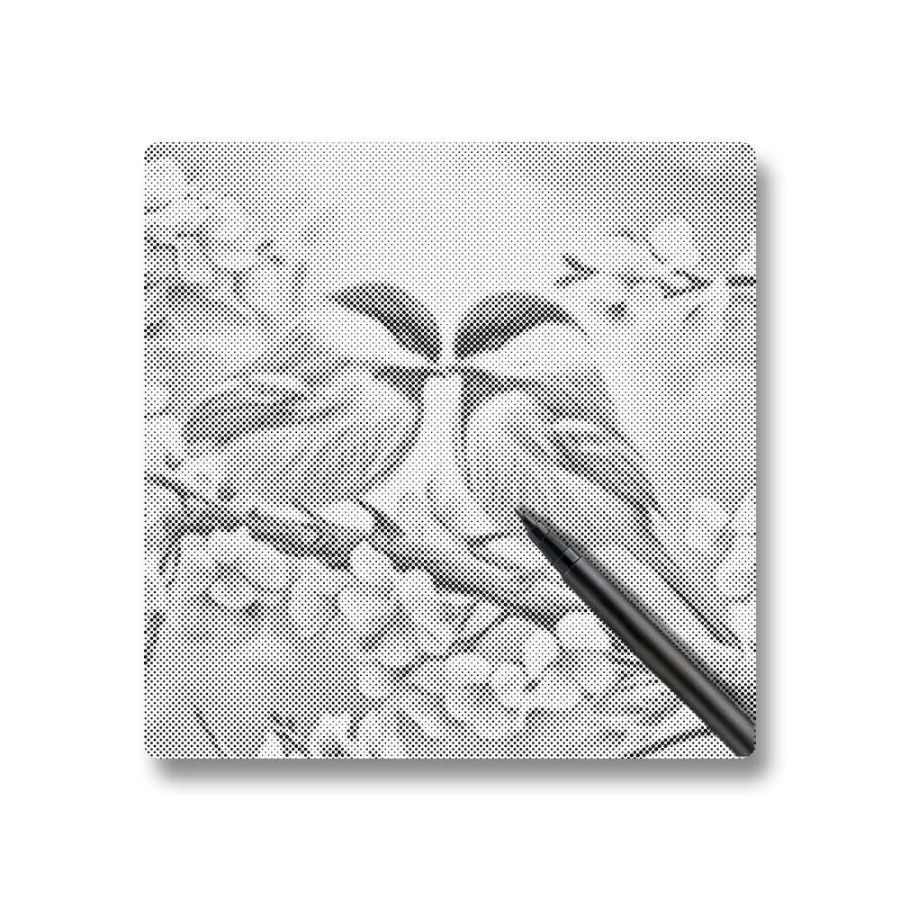 Love Birds - Dot Painting