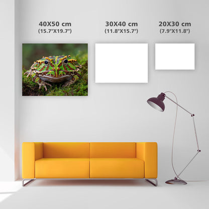 Pacman Frog in Moss - Diamond Painting