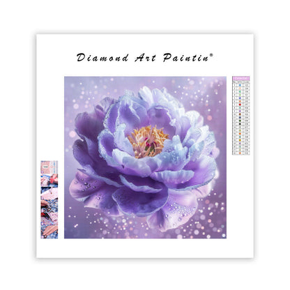 Purple Peony - Diamond Painting