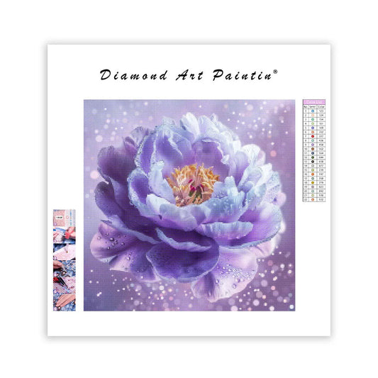 Purple Peony - Diamond Painting