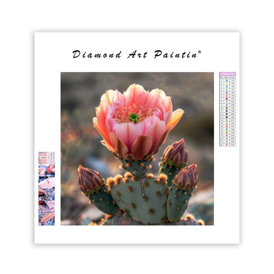 Cactus Bloom - Diamond Painting