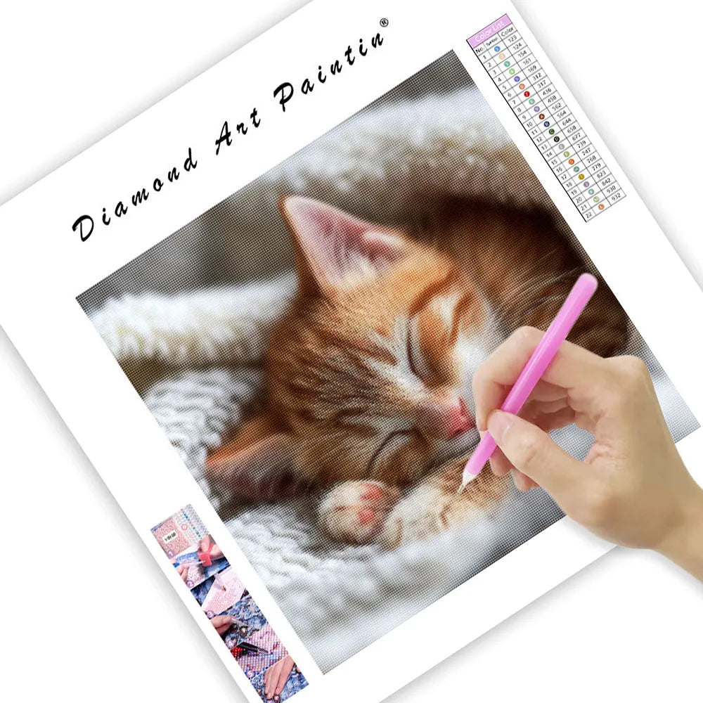 Orange Tabby Sweet Dream - Diamond Painting