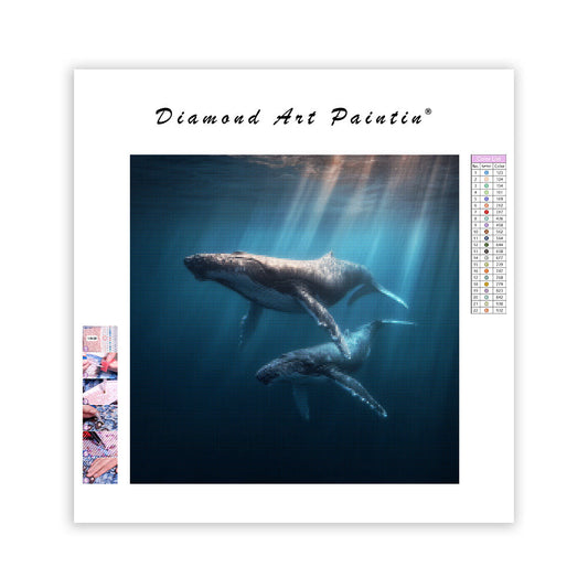 Humpback Whale and Calf - Diamond Painting