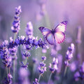 Lavender Butterfly - Diamond Painting