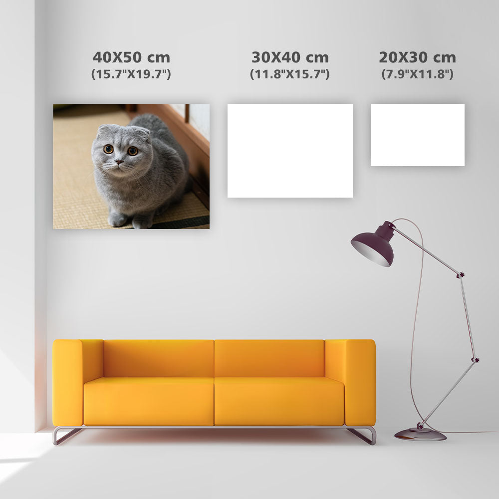Scottish Fold Loaf - Diamond Painting