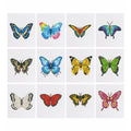Mini-Rainbow Butterfly Collection