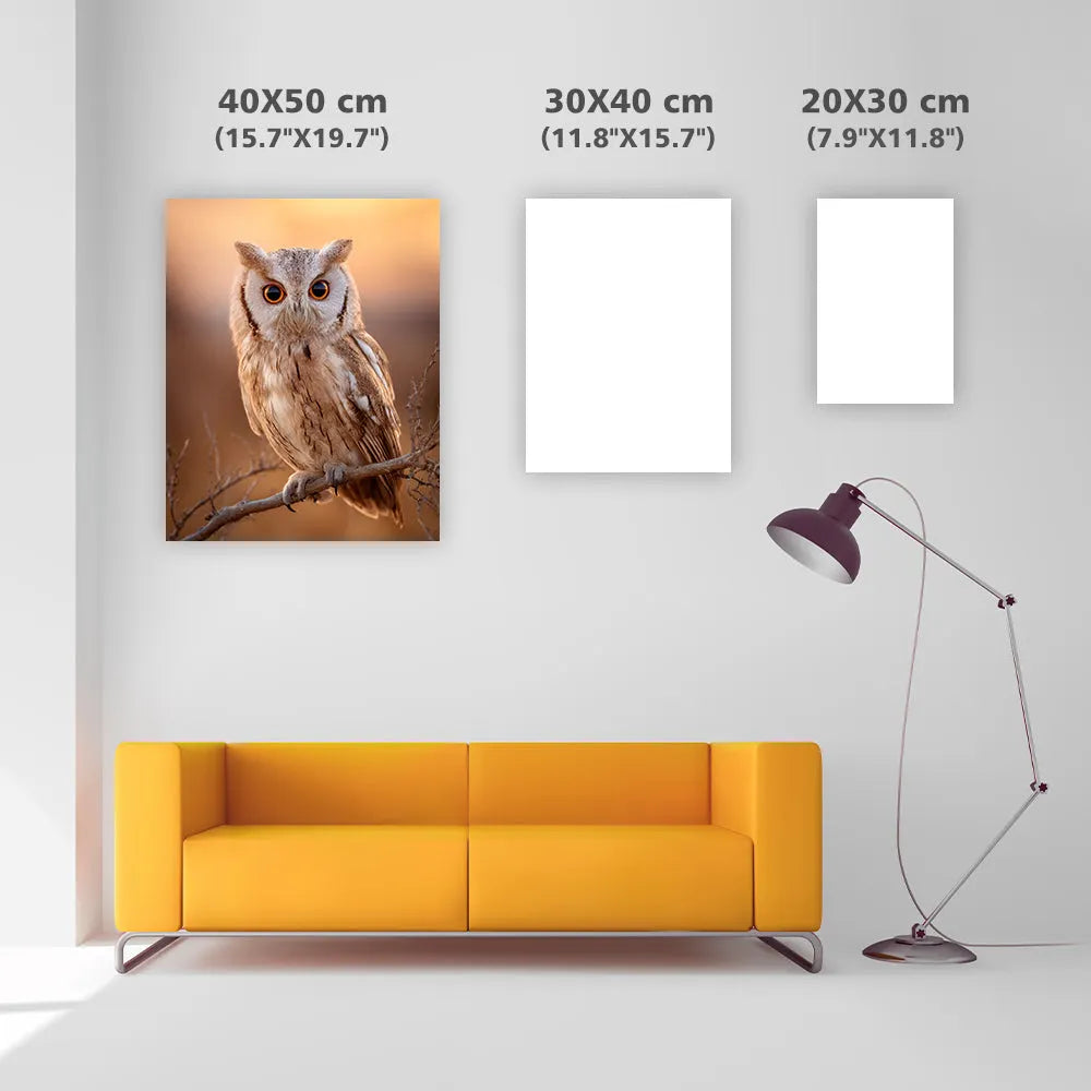 Owl Night Glow - Diamond Painting