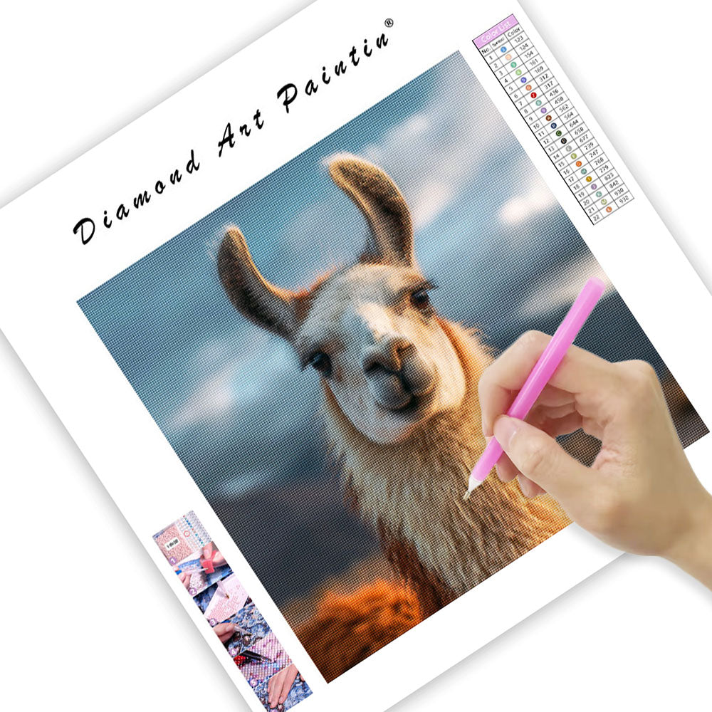 Llama Portrait - Diamond Painting
