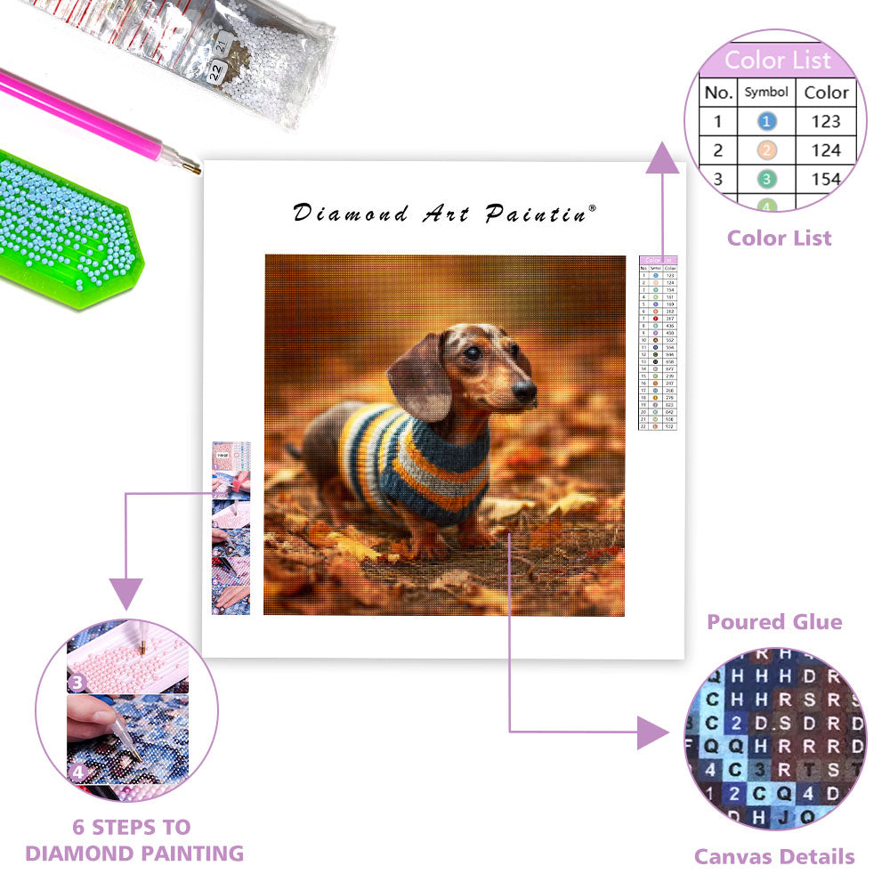 Dachshund in Sweater - Diamond Painting