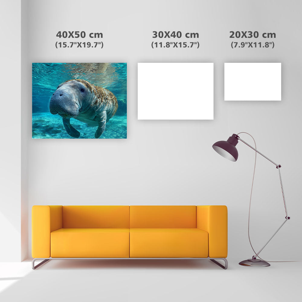 Gentle Manatee - Diamond Painting