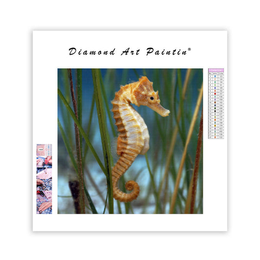 Seahorse on Seagrass - Diamond Painting