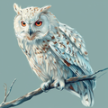 Peaceful Owl - Diamond Painting